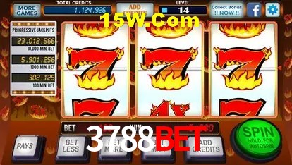 3788Bet - Security