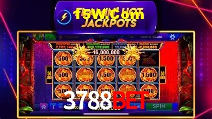 3788Bet Brasília - Bonus Features